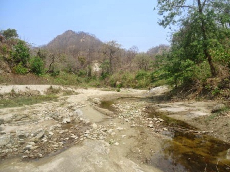 तराई क्षेत्रको सुरक्षाका लागि चुरे संरक्षण गर्नुपर्छ , सचिव ज्ञवाली